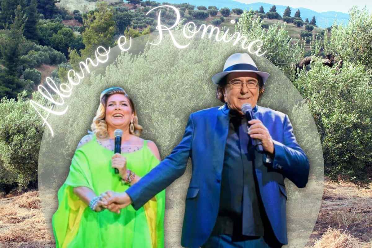 albano e romina che cantano mano nella mano